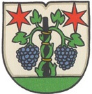 Steinemann's coat of arms